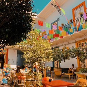 Viajero Cdmx Centro Hostel